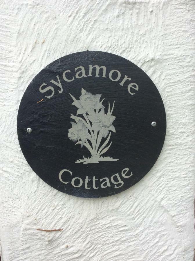 Sycamore Cottage Conwy Buitenkant foto